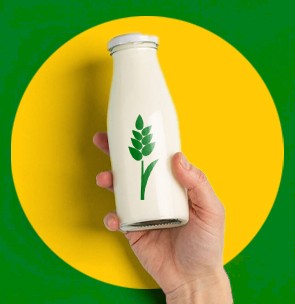 Reasons to consume plant-based Rice Milk