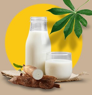 Health benefits of Tapioca milk