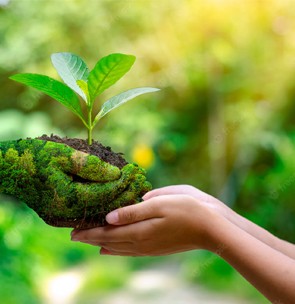 Importance Of Organic Environment To Human Life