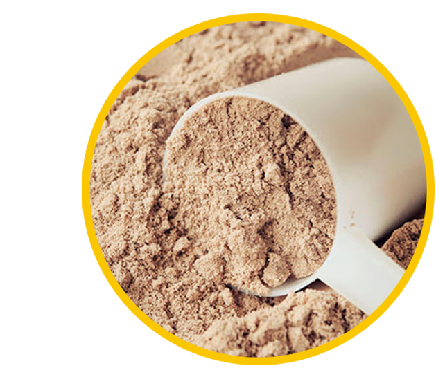 Rice protein food grade powder in a deep spoon