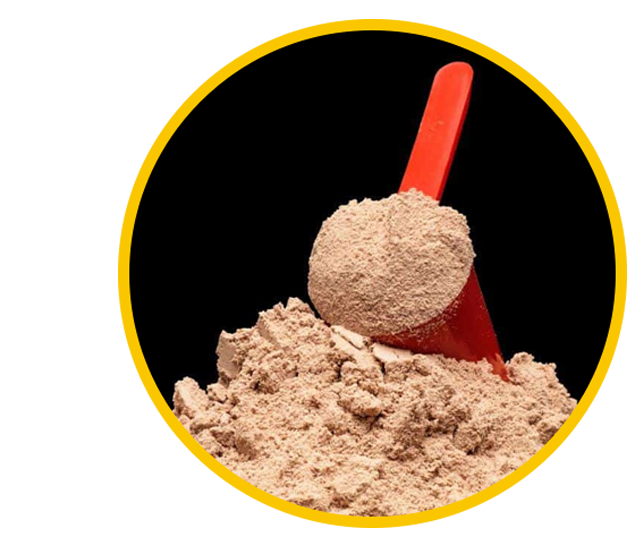 Rice protein feed grade powder in a spoon