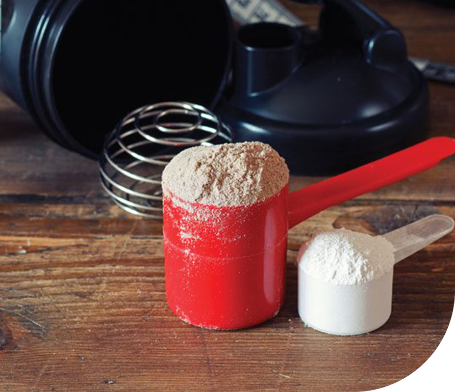 food grade protein powder in two spoons as a sample