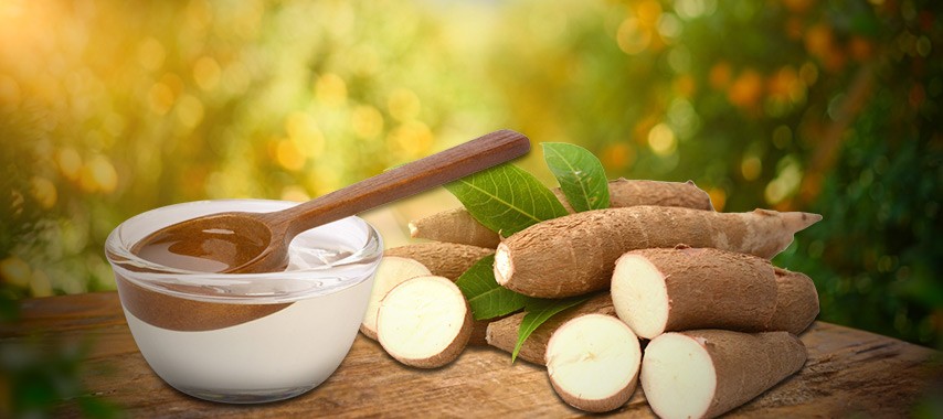 Marketing Excellence: Positioning Organic Clarified Tapioca Syrup in the Food Industry