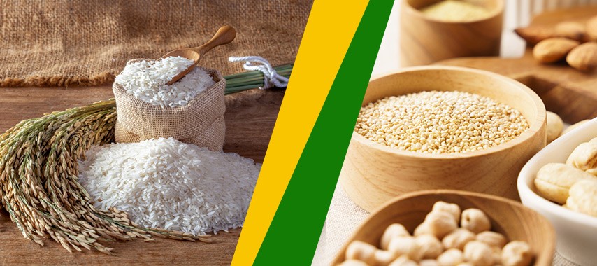 Rice Protein vs Other Protein Sources