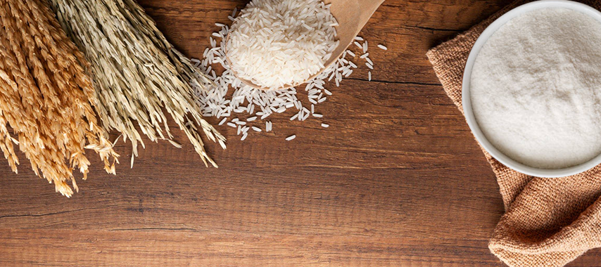 The Future of Protein: Innovations and Advancements in Food-Grade Rice Protein
