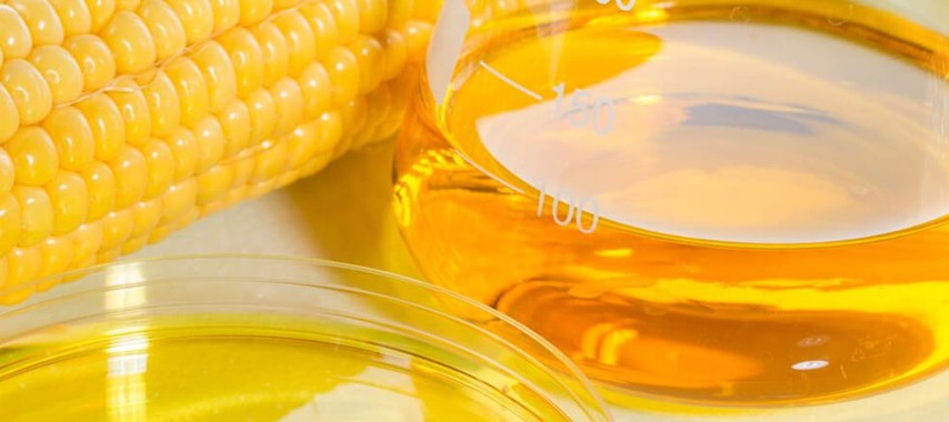 The Making of High Maltose Syrup: A Sneak into the Production Process