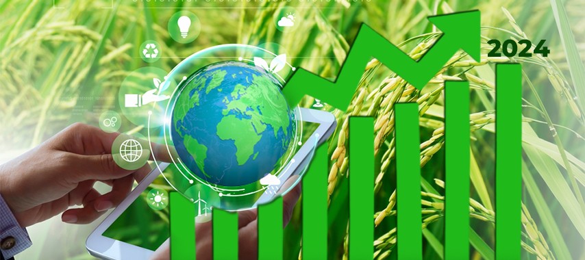 Brown Rice Market Global Brown Rice Syrup Market 2024 | Glucorp